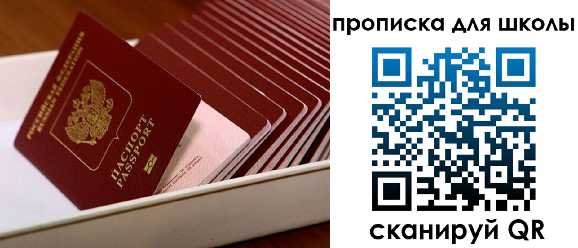 временная регистрация гарантия в Плавске